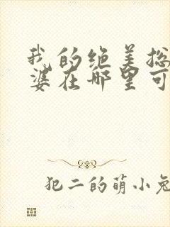 我的绝美总裁老婆在哪里可以看