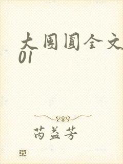 大团圆全文阅读01封面