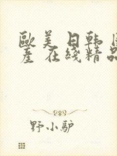 欧美 日韩 国产 在线精品