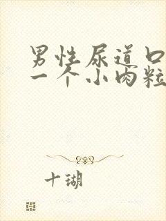 男性尿道口上长一个小肉粒