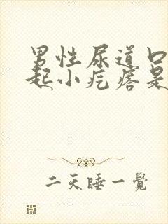 男性尿道口外面起小疙瘩是怎么回事