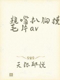 亲嘴扒胸摸屁股毛片av