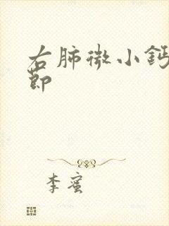 右肺微小钙化结节