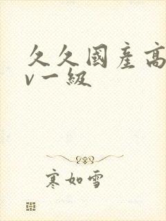 久久国产高清av一级