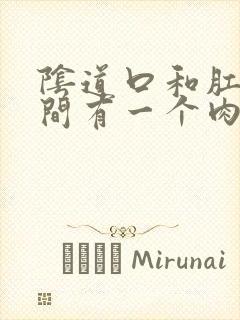 阴道口和肛门之间有一个肉疙瘩