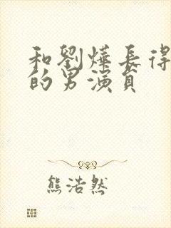 和刘烨长得很像的男演员