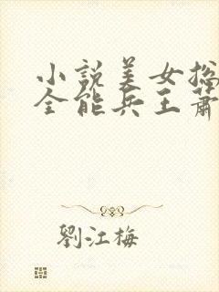 小说美女总裁的全能兵王萧晨