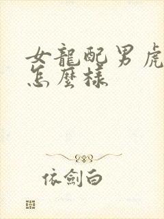 女龙配男虎姻缘怎么样封面