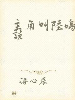 主角叫陆鸣的小说封面