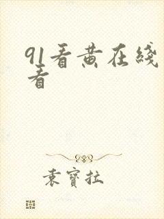 91看黄在线观看