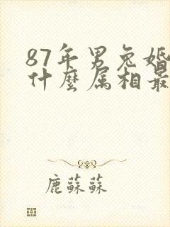 87年男兔婚配什么属相最佳