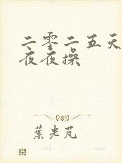 二零二五天天干夜夜操