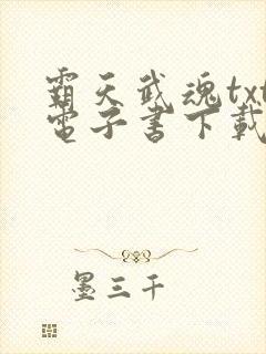 霸天武魂txt电子书下载封面