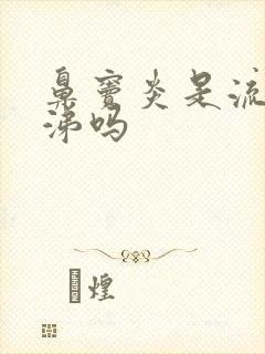 鼻窦炎是流黄鼻涕吗