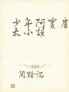 少年阿宾房东太太小说