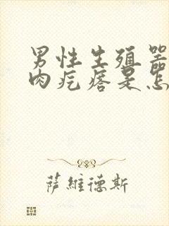 男性生殖器长小肉疙瘩是怎么回事