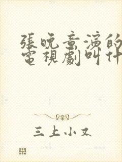 张晚意演的医生电视剧叫什么