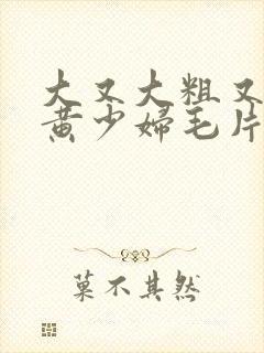 大又大粗又爽又黄少妇毛片