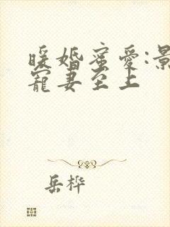 暖婚蜜爱:景少宠妻至上