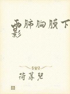 两肺胸膜下结节影