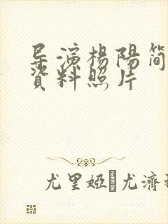 导演杨阳简介和资料照片