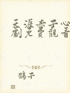 天涯赤子心电视剧免费观看