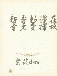 新番动漫在线观看免费播放