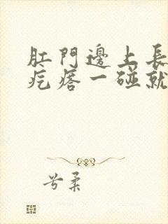 肛门边上长个大疙瘩一碰就疼