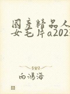 国产精品人妻熟女毛片a2023