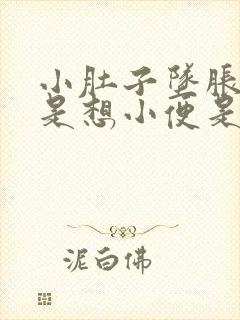 小肚子坠胀感老是想小便是怎么回事