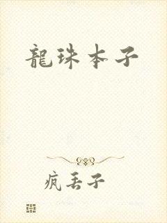 龙珠本子