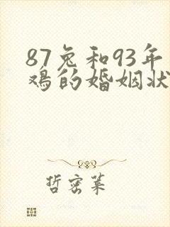 87兔和93年鸡的婚姻状况