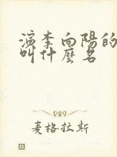 演李向阳的演员叫什么名