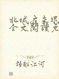 北城夜未眠小说全文阅读免费