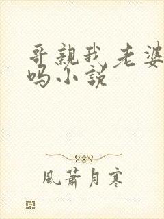 哥亲我老婆很爽吗小说