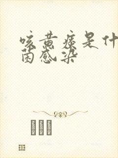 咳黄痰是什么细菌感染