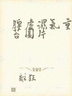 脾虚湿气重的舌苔图片封面