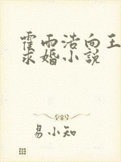 霍雨浩向王秋儿求婚小说