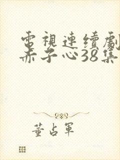 电视连续剧天涯赤子心38集