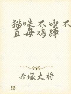 猫咪不吃不喝一直母鸡蹲