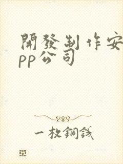 开发制作安卓app公司