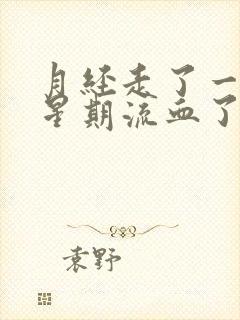 月经走了一个多星期流血了怎么办