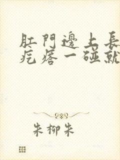 肛门边上长个大疙瘩一碰就疼