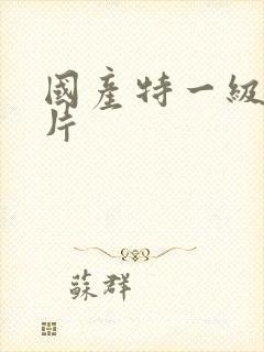国产特一级黄色片