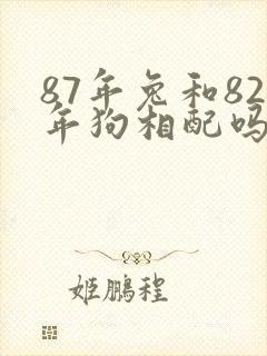 87年兔和82年狗相配吗