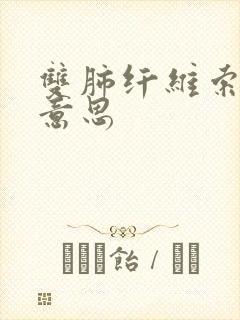 双肺纤维索条啥意思