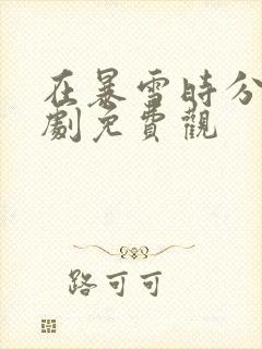 在暴雪时分电视剧免费观