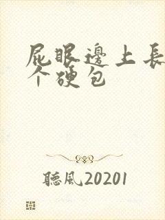 屁眼边上长了一个硬包封面