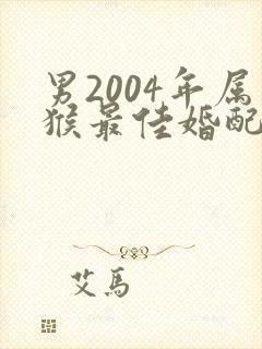 男2004年属猴最佳婚配属相封面