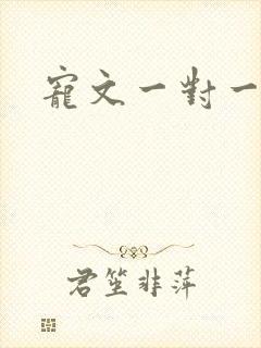 宠文一对一超甜